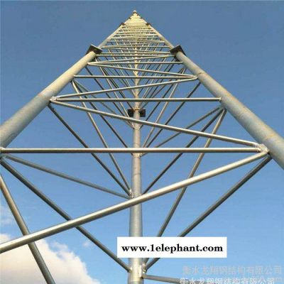 鑫华鑫GJT系列避雷塔 圆钢避雷塔 三角避雷塔 油库避雷塔 化工厂房避雷塔 气象站避雷塔 防雷塔**图3