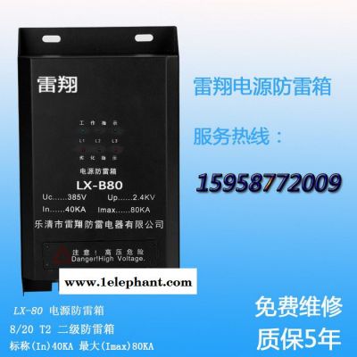 浙江电源防雷箱雷翔防雷CCL-B80/C40普及型电源防雷箱图3