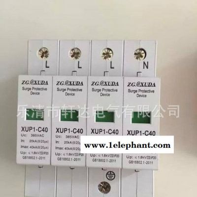 浪涌保护器 防雷保护器 电涌保护器 施耐德DPR防雷10-2图3