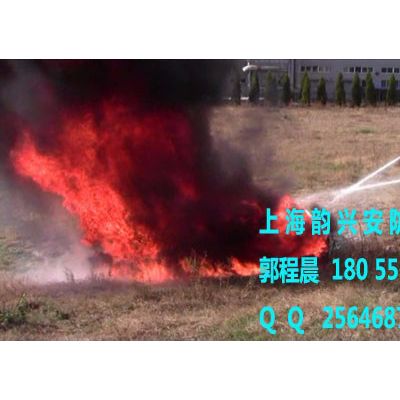 远距离喷射灭火器 新型MPB18消防灭火器 上海韵兴**多功能三合一灭火器图2