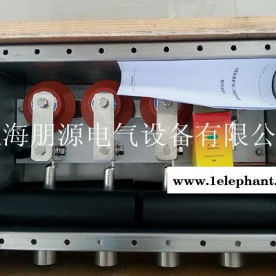供应上海朋源ZJJD-1220KV电缆直接接地箱防雷接地图2