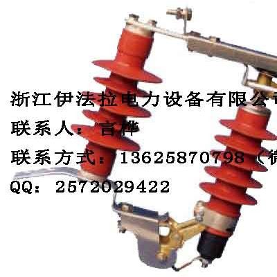 伊法拉 跌落式防雷器图1