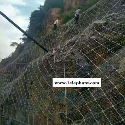 中路销售安装 边坡防护网 主动防护网 被动防护网 柔性防护网图1