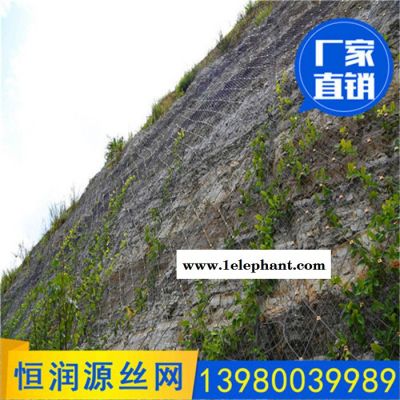 成都边坡防护网 边坡防护网厂家 柔性防护网 路基防护网 斜坡防护网 边坡防护网图8