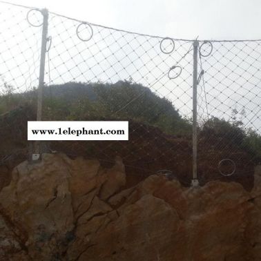 丝网厂家供应 高速边坡防护网 钢丝防护网 绿化防护网 护山防护网