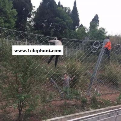 边坡防护网 主动防护网 被动防护网 柔性防护网 山体防护网图5