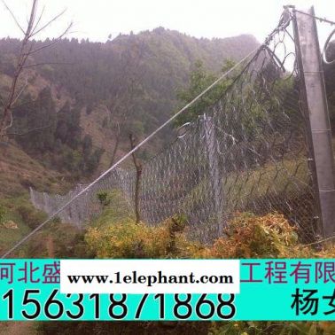 盛达环形防护网 环形防护网价格 环形防护网定制