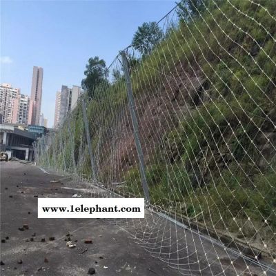 成都边坡防护网厂家 主动防护网 边坡防护网 SNS柔性防护网 被动防护网图8