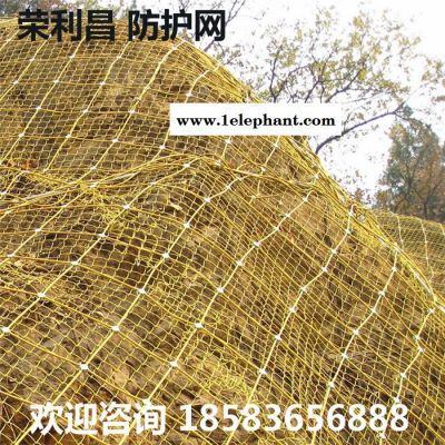 荣利昌 可定制 防护网 边坡防护网 山坡防护网 钢丝绳防护网 山体防护网 四川防护网厂家图4
