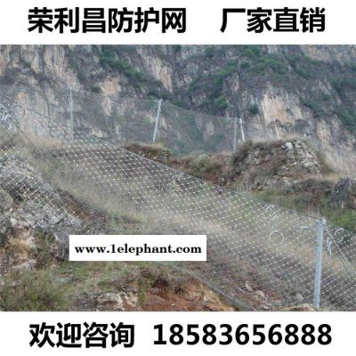 荣利昌 可定制 防护网 边坡防护网 山坡防护网 钢丝绳防护网 山体防护网 四川防护网厂家图6