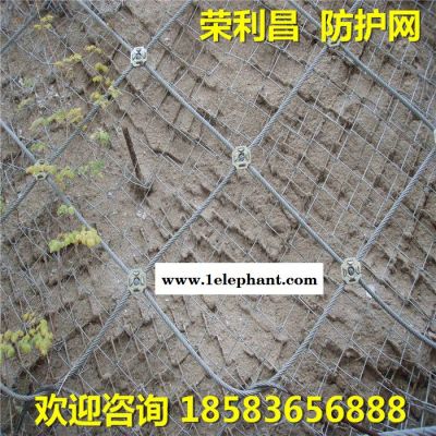 荣利昌 可定制 防护网 边坡防护网 山坡防护网 钢丝绳防护网 山体防护网 四川防护网厂家图3