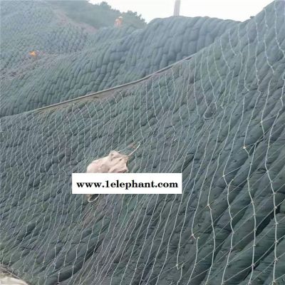 烨德 边坡防护网 公路边坡防护网 铁路边坡防护网 边坡防护网价格 边坡防护网厂家图7
