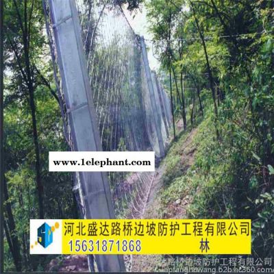 盛达SNS被动防护网 边坡防护网 落石防护网 山体防护网 悬崖防护网图5