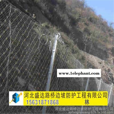 盛达SNS被动防护网 边坡防护网 落石防护网 山体防护网 悬崖防护网图2