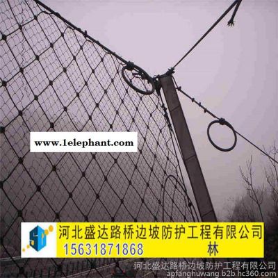 盛达SNS被动防护网 边坡防护网 落石防护网 山体防护网 悬崖防护网图3