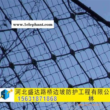 盛达SNS被动防护网 边坡防护网 落石防护网 山体防护网 悬崖防护网