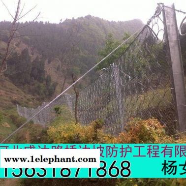 盛达 环形防护网单价 环形防护网规格型号 环形防护网厂