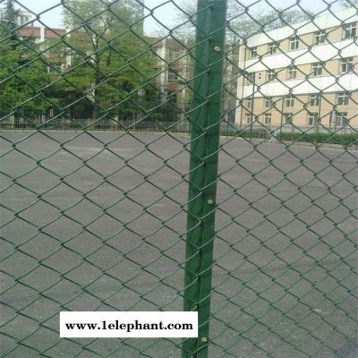 振鼎 喷塑场地防护网 体育场勾花防护网 操场防护网 ** 甘肃图4