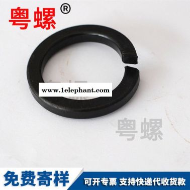 弹垫不锈钢 弹簧垫片防滑垫圈 紧固件定制