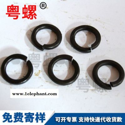 弹垫不锈钢 弹簧垫片防滑垫圈 紧固件定制图4