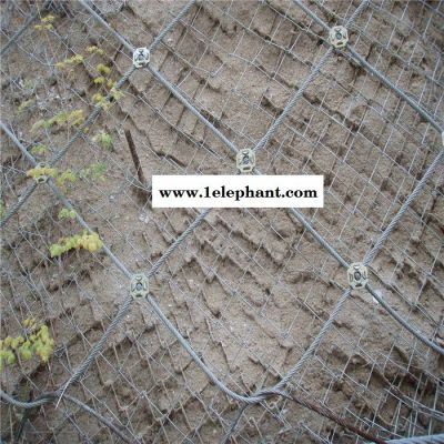 荣利昌 防护网 被动防护网 主动防护网 防护网批发 成都防护网** 欢迎选购图3