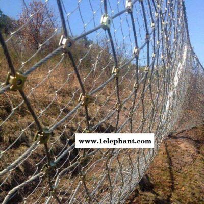 【派森】厂家批发 柔性防护网 安全防护网 多功能防护网 边坡防护网 主动防护网图4