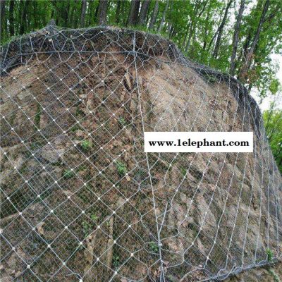 【派森】厂家批发 柔性防护网 安全防护网 多功能防护网 边坡防护网 主动防护网图2