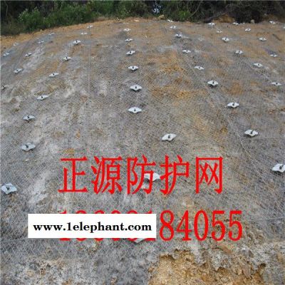 河北厂家批发柔性防护网 主动防护网 公路防护网 拦石防护网图4