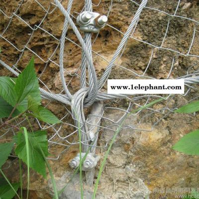 被动防护网 SNS柔性防护网 边坡防护网 山体滑坡防护网 边坡柔性防护网图3