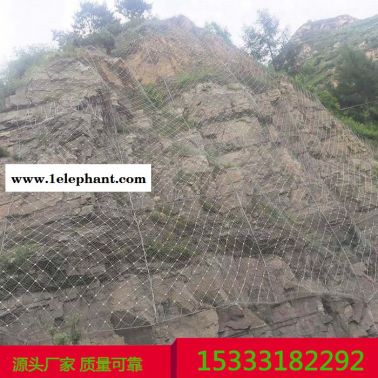 边坡防护网厂 环形边坡防护网 边坡防护网 边坡防护网snscn