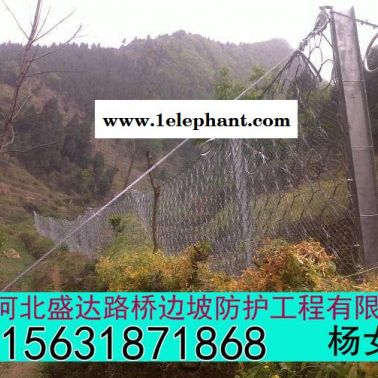 盛达 环形防护网详情 环形防护网价格 环形防护网厂