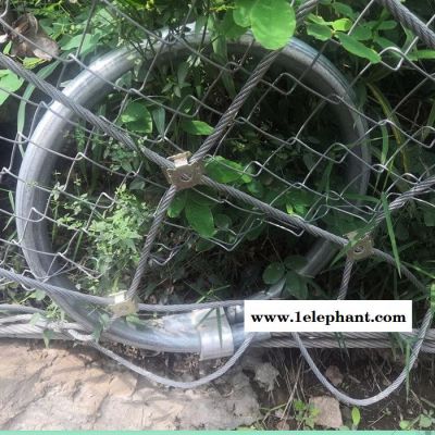 赵发厂家供应 被动边坡防护网 被动防护网 拦截防护网 边坡防护网 被动边坡防护网安装图2