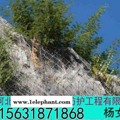 主动防护网 主动防护网定制 主动防护网批发图2