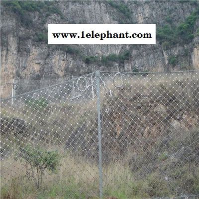 防护网 边坡防护网 主动防护网 边批防护网批发 成都防护网厂家 荣利昌 欢迎来电图4