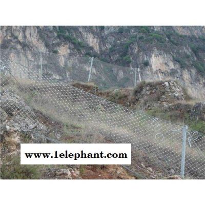 防护网 边坡防护网 主动防护网 边批防护网批发 成都防护网厂家 荣利昌 欢迎来电图5