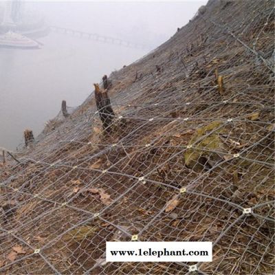 边坡主动防护网厂家 边坡防护网 主动防护网 sns柔性边坡防护网图4