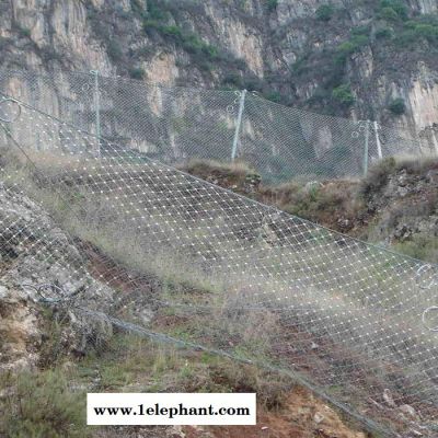 SNS柔性边坡防护网 被动防护网 护山网柔性防护网 被动边坡防护网图5