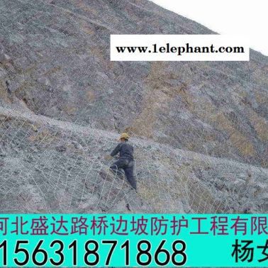盛达 sns主动防护网直供 sns主动防护网详情 护山网