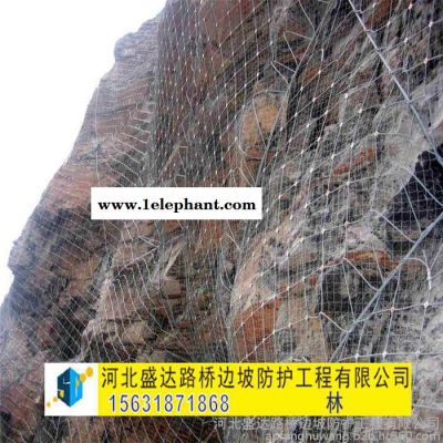 盛达主动防护网 主动防护网批发 柔性防护网 山体防护网 自然灾害防护网图4