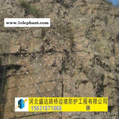 盛达主动防护网 主动防护网批发 柔性防护网 山体防护网 自然灾害防护网图2