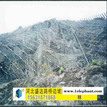 盛达主动防护网 主动防护网批发 柔性防护网 山体防护网 自然灾害防护网