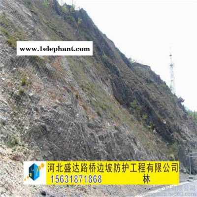 盛达主动防护网 主动防护网批发 柔性防护网 山体防护网 自然灾害防护网图5