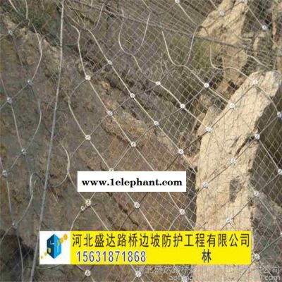 盛达主动防护网 主动防护网批发 柔性防护网 山体防护网 自然灾害防护网图3
