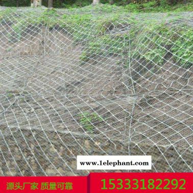 边坡柔性防护网 浸塑边坡防护网 边坡防护网批发 景区边坡防护网