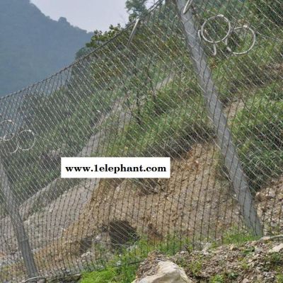 SNS柔性边坡防护网  被动防护网  边坡防护网  柔性防护网图4