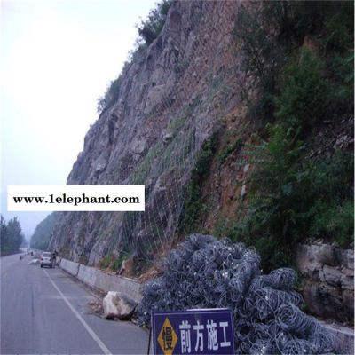 岩石地质灾害防护网 环形防护网 山体塌方防护网 川鑫 欢迎选购