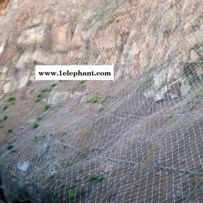 专业批发 主动边坡防护网 护栏网防护网 草原防护网 刚性防护网图5