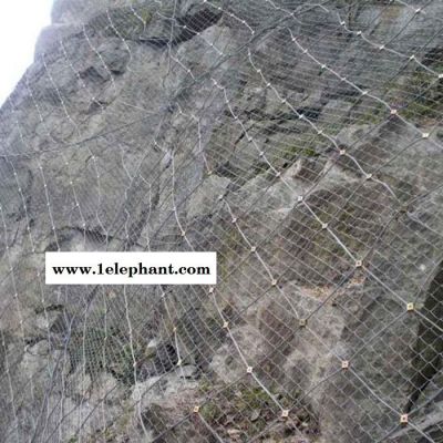 专业批发 主动边坡防护网 护栏网防护网 草原防护网 刚性防护网图3