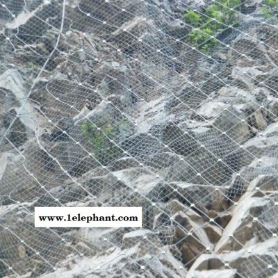 专业批发 主动边坡防护网 护栏网防护网 草原防护网 刚性防护网图6