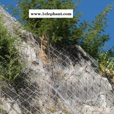 专业批发 主动边坡防护网 护栏网防护网 草原防护网 刚性防护网图4